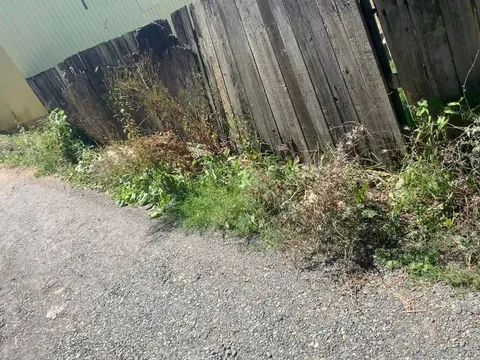 A few years ago my rotting fence fell over so I decided to build it back better.