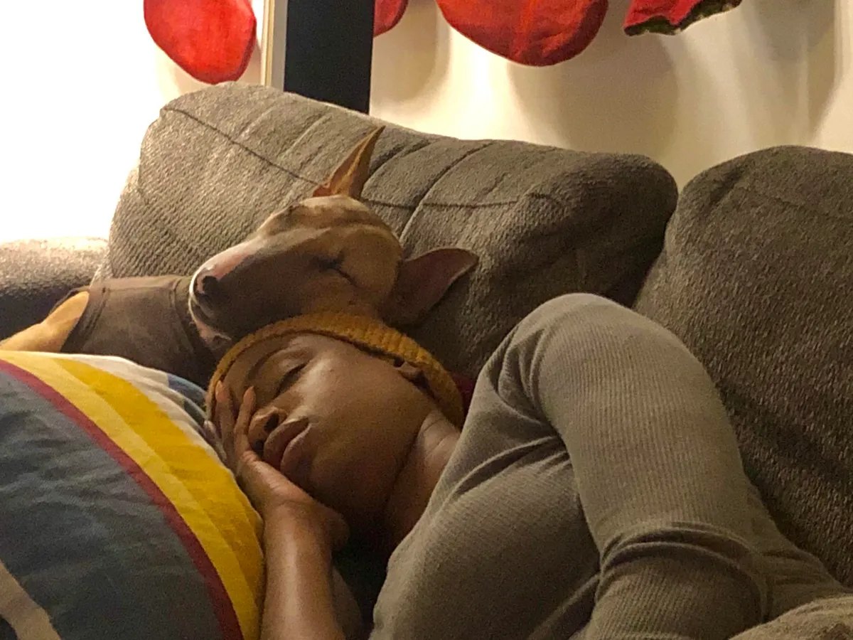 My wife and our dog Bowzer, half way through the Irishman last night