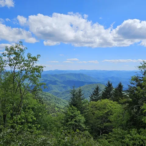 Blue Ridge Mountains - NC, USA [OC] [2992x2992]