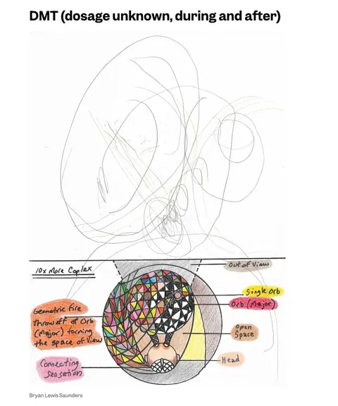 Bryan Lewis Saunders has been documenting his experiences with different drugs and intoxicants in the form of expressive self-portraits
