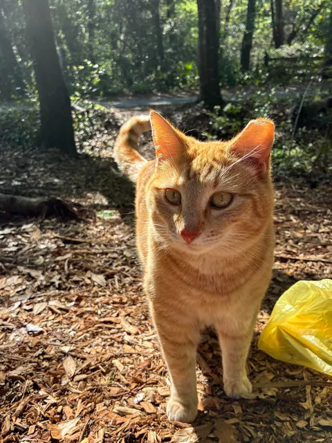 Meet Georgie everyone- A trailhead ambassador!