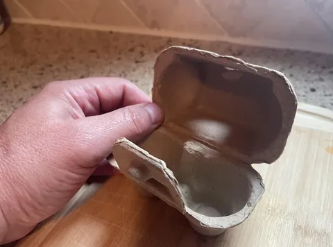 A carton built for 2 eggs