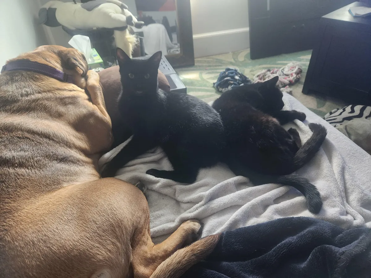 Somehow we are at 22! I love you Sammy ♥️