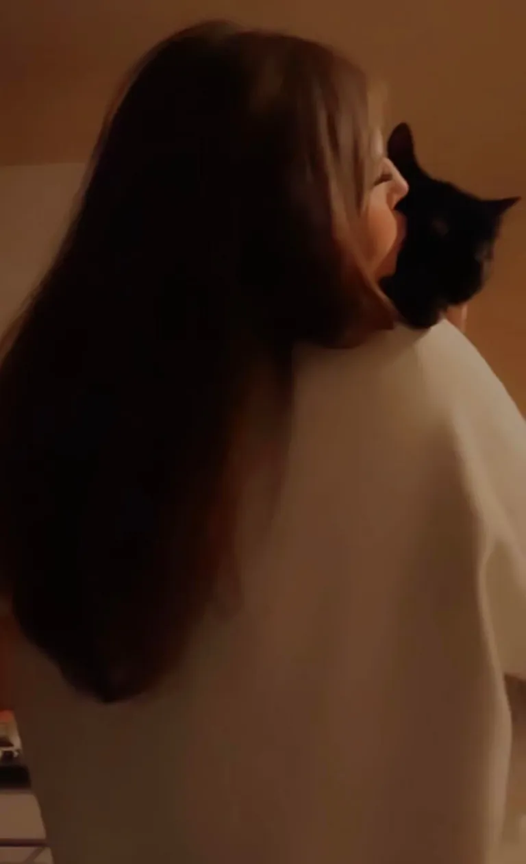 my darling boy of 18 years lost today. I love you