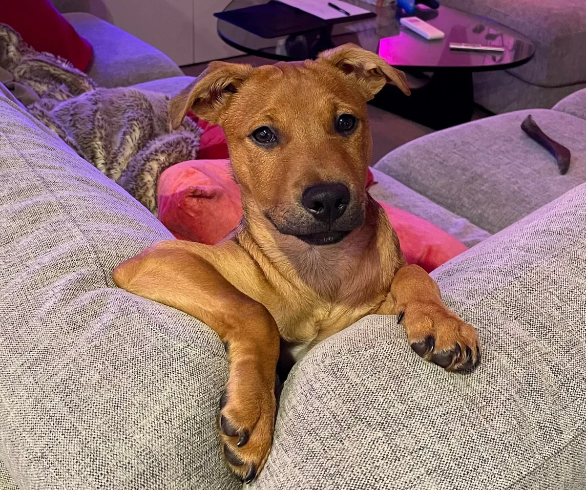 Hector through the years. Which is your favourite photo