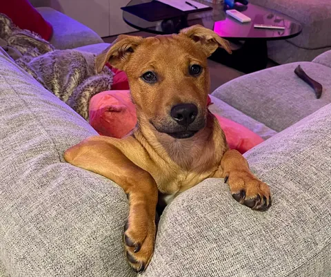 Hector through the years. Which is your favourite photo