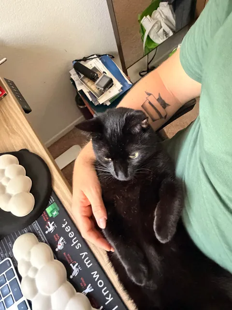 Does anyone else’s void love to be in their back?