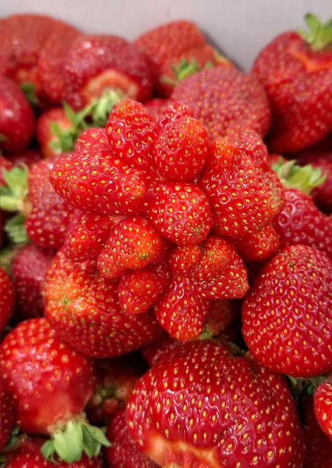 This Mutant Strawberry I Saw