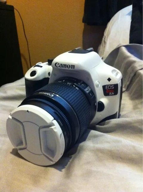 Successfully painted my Canon DSLR.