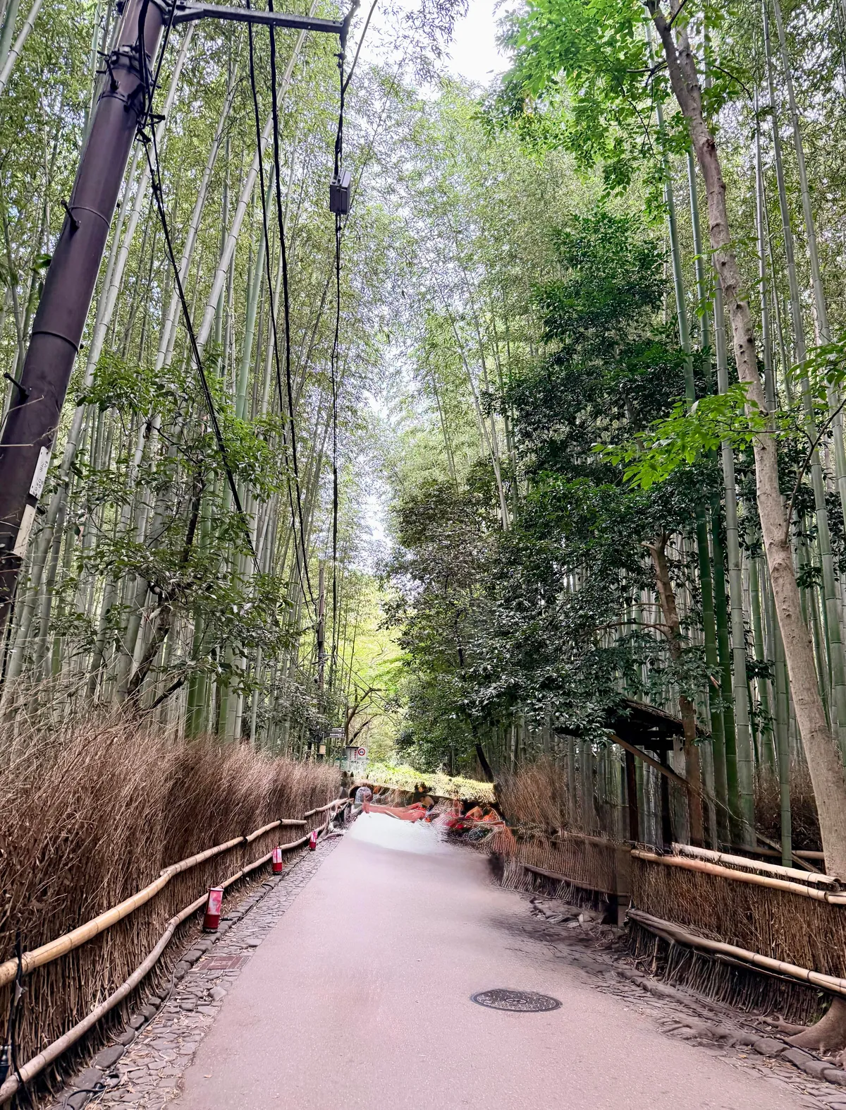 You don’t need 20,000 steps a day or every hyped-up restaurant to enjoy Japan