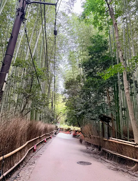 You don’t need 20,000 steps a day or every hyped-up restaurant to enjoy Japan