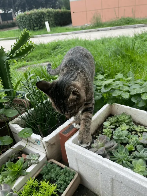 You’re just too cute to move... I’ll let you nap there for a while. 😂