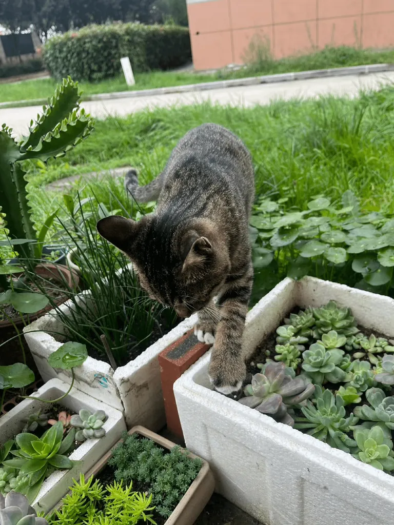 You’re just too cute to move... I’ll let you nap there for a while. 😂