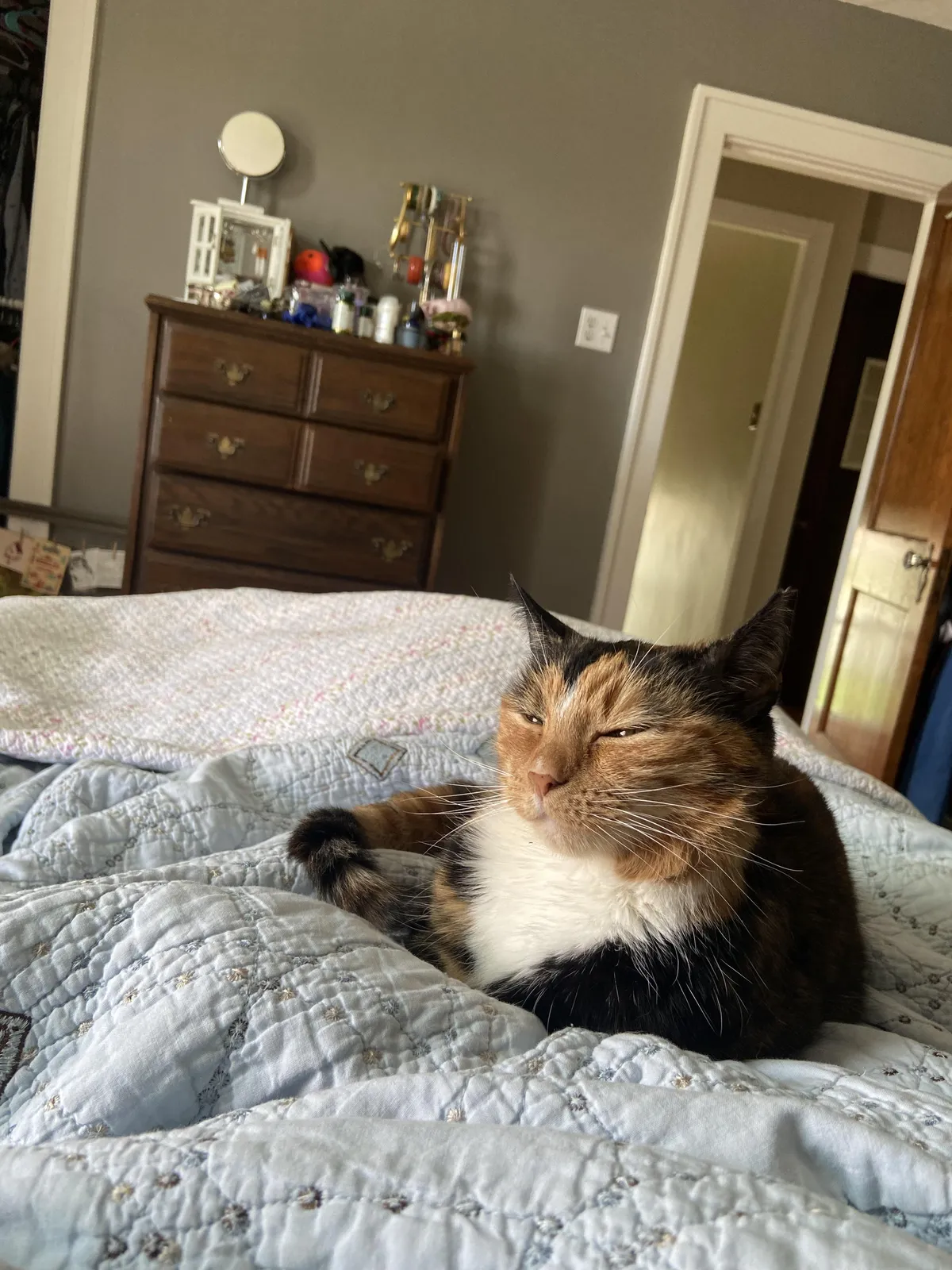 Been recovering from surgery and she won’t leave my side