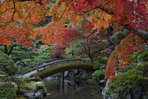 Japan in Late November