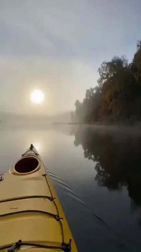 An otter comes up to a paddler, snuggles and leaves as if nothing happened