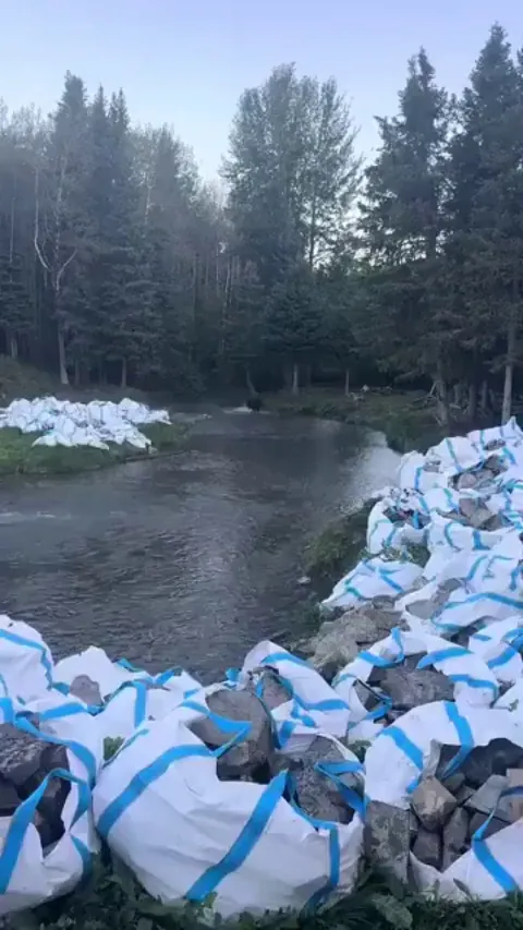 The bear, the wolf and the raven