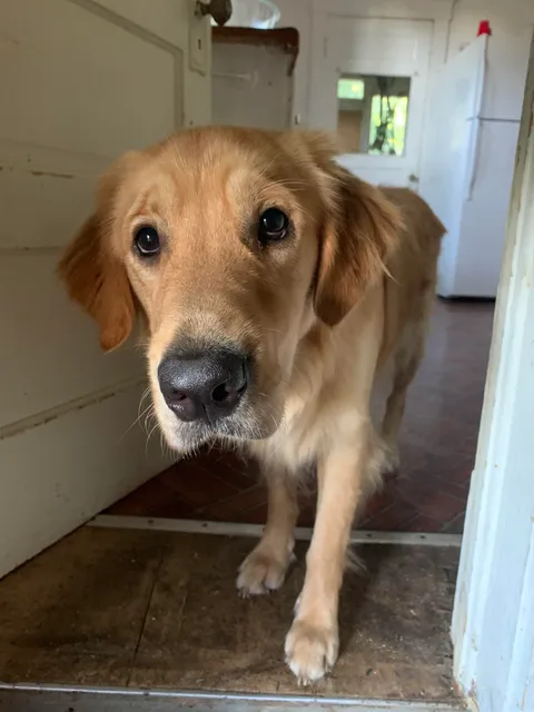 Caught him being a cutie