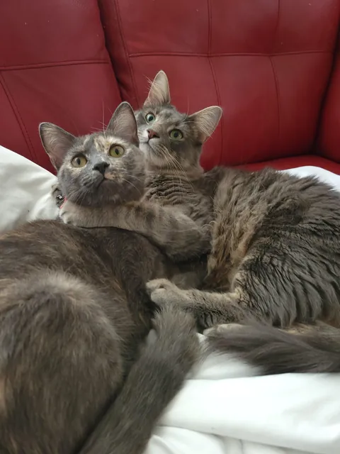 "You won't want to deal with it"