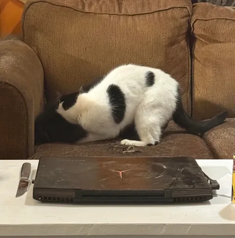 Pazuzu bugging Murphy, even when he tries to get away.