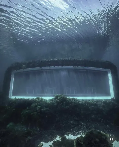 The First European Underwater Restaurant Opened In Norway