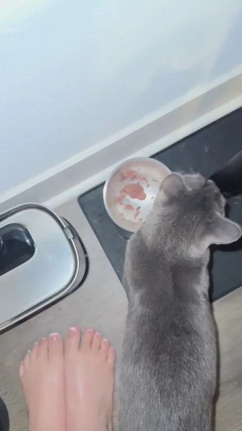 Why won’t my kitty eat unless i am next to him? Advice to train him to eat alone? 