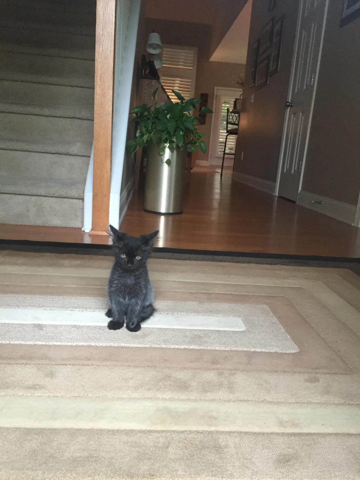 From gotcha to goodbye