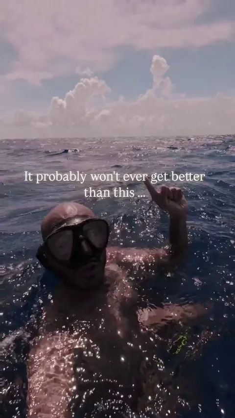 whales clicking in family group