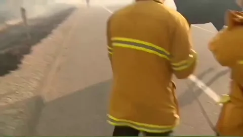 Incredible video of a horse going back to rescue two more horses from the fire 🔥