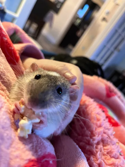 he’s disgustingly cute