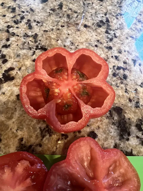 Cut open my first tomato to find this…