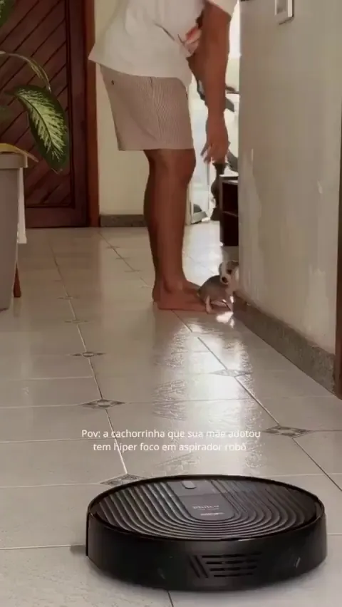 My day has instantly become better after watching this