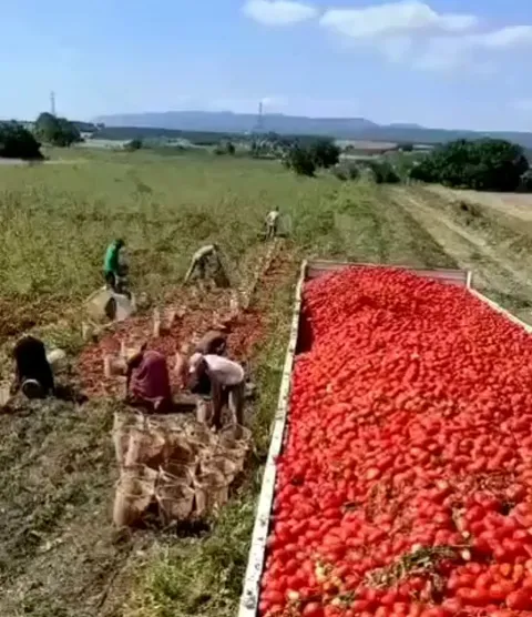 Gravity, acceleration, friction, thermodynamics, vector force, momentum all in one