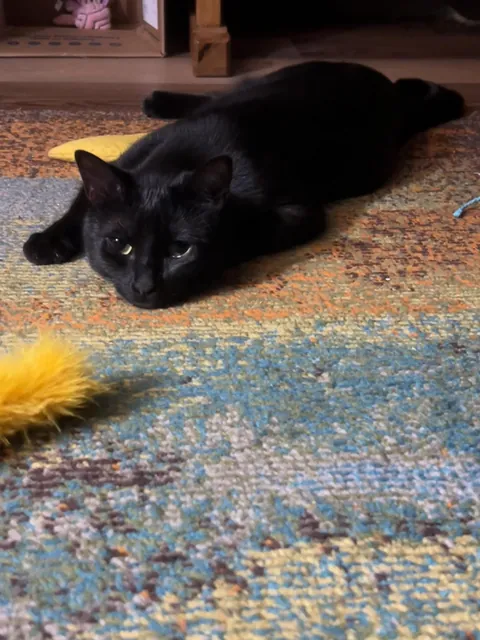 Tired void that still wants to play