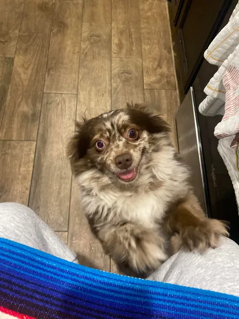 Before and after telling him that he’s so handsomes