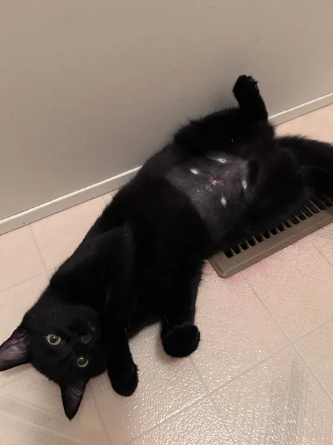 Just looking at him makes me emotional