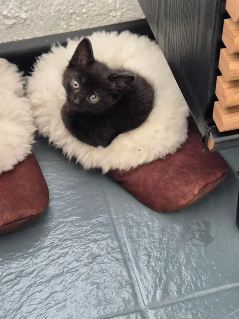 My void is 1! 🥳🥳