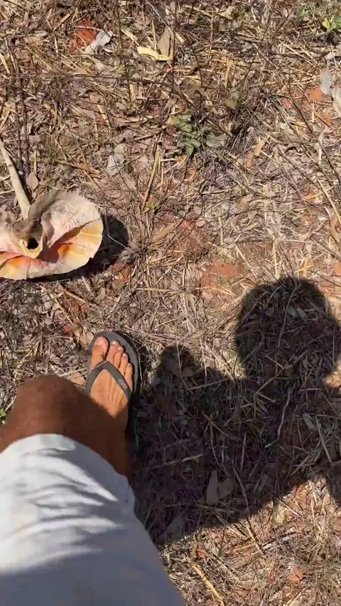 Aw. Little scare tactics 