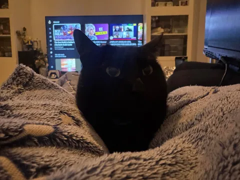 I’m Mona (cute in Spanish)