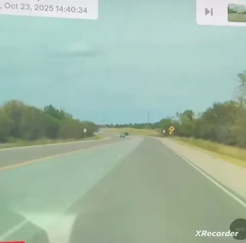 Driving down the road minding his business