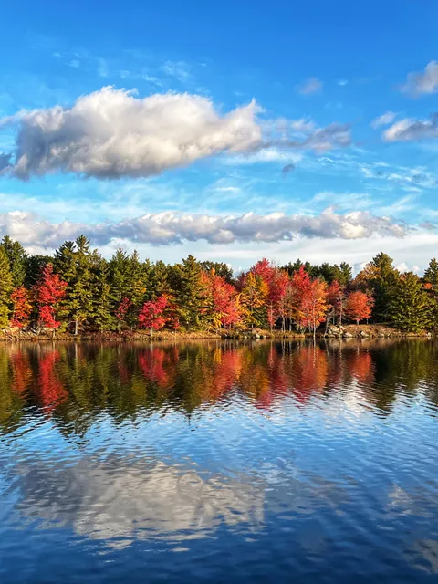 Big Salmon Lake, Ontario Canada [3024x4032] (OC)