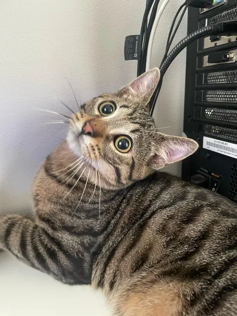 I love my new co- worker