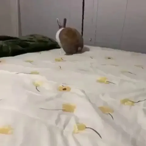 He likes things to be neat and tidy