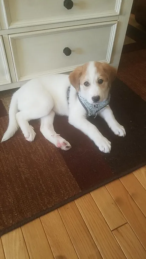 The first day I got my baby