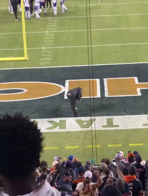 Another Green Dildo Hits the Field at the Vikings vs Bears Game