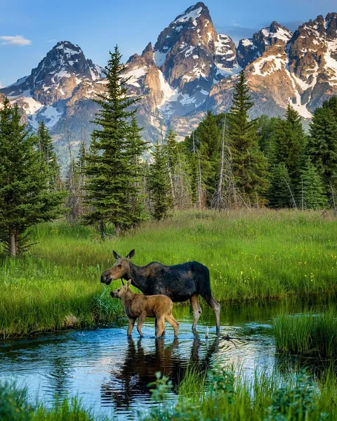 🔥 Grand Teton National Park, Wyoming, United States 🔥