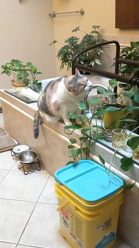 We told her to stop eating the plants so now she just pretends.