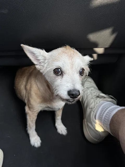 Today, my best friend Curtis turns 15 🎈