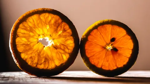 After buying my house, I neglected to water or fertilize my orange tree for over a year before finally learning how to properly care for it. This progress pic comparing one of the old, neglected fruits to the most recent harvest shows the fruits of my labor!