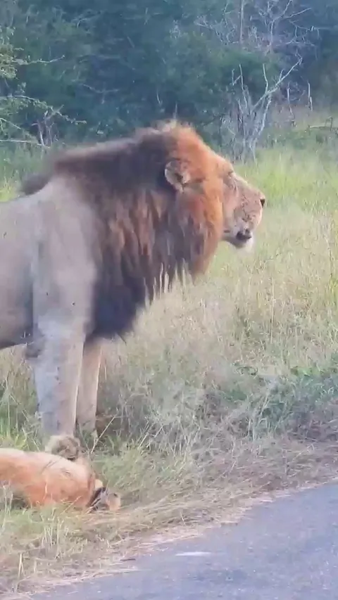 🔥 You're in MY kingdom now